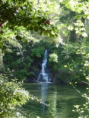 /album/imagens1/bbnfgbdfg-png/
